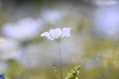 4876255502460374289.62c992c23b5615d7528773f769c7237e.23042710