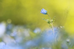 4876255502460374289.6bb3725968dfe76676f34b132a3be13a.23042710