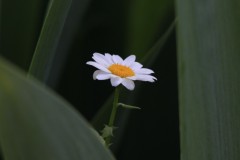 4876255502460374289.6fc8fb874b46f301868afad0349fe7a8.23042710