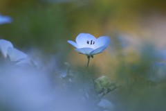 4876255502460374289.765fd1350bbe4ca2b1ed4d133573c3b5.23042710