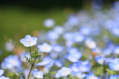 4876255502460374289.93d5962fe19f0d67c34933df50e998bb.23042710