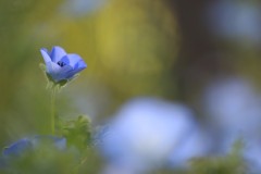 4876255502460374289.9ab0530d7d504d9a06f169727cf2ba7f.23042710