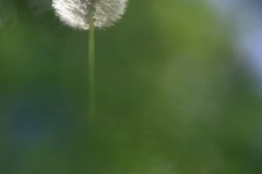 4876255502460374289.9bf3f7b86e2cd1a2a118ea7a8514165a.23042710