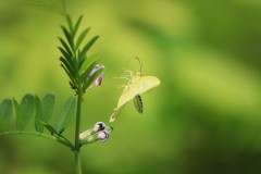 4876255502460374289.a2c7495349da480063b9ccaadc6bb246.23042710