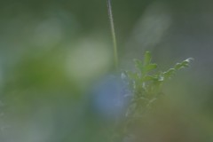 4876255502460374289.acf43ca9c48dc877d37608386f911080.23042710