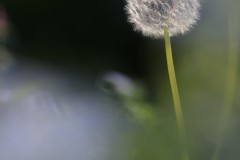 4876255502460374289.b11f3660c72467eea79054eb3ae4023b.23042710