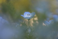 4876255502460374289.bb0c7d05e4e7338a02640e39efda5b63.23042710