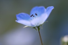 4876255502460374289.c08d01e1342f34eb4547c6c566276430.23042710