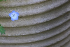 4876255502460374289.d848fa875fac9e48f601c4b6fdcae3dd.23042710