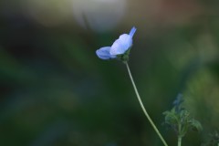 4876255502460374289.dc07d272ccff43a0f4bf503d60684dfd.23042710