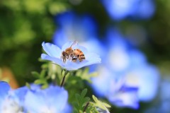 4876255502460374289.e2ca810cc23e33af7cb3c9d56f6510b9.23042710