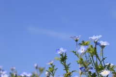 4876255502460374289.e7ce3f5f3252608e81dc0af5f3540d86.23042710