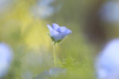 4876255502460374289.fc4377177c751ffa409db7354e7ebe69.23042710