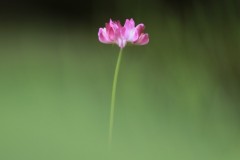 4877012125558551352.063e3c72d9ca5b7b4e8161b27af176be.23042912