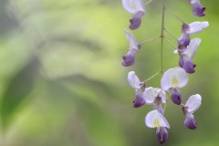 4877012125558551352.1119d6a56695bb534123a47ab48b32e5.23042912