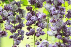 4877012125558551352.d962624001b2da9ea90177596fe23f54.23042912