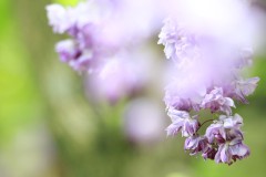 4877012125558551352.dc642ce172e45329d8b8ab23a9f0b18e.23042912