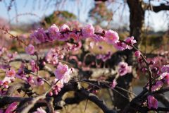 238857EE-4E74-47A8-A11F-1FDADB131D66-scaled