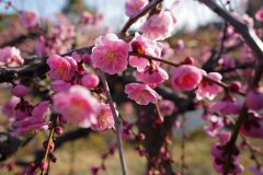 25354B28-BA59-4C5C-89B1-80F3602742B7-scaled