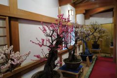 27C1C000-E4E8-482F-ACC5-53CE8723A8AA-scaled