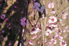 281A5CB2-985A-44EB-A4E3-48C0F878E33D-scaled