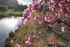 2E3A5FF8-BC18-4497-8936-6B192BAEA8D6-scaled