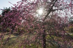 33954075-F1E3-436E-A2F9-7256FE3C93FB-scaled