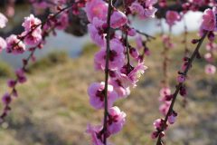 4BFD7C22-B817-4F99-8895-EF24BBB3FAB0-scaled