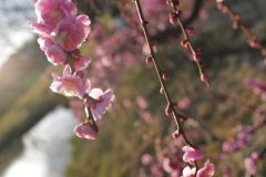 5A6E1C60-3D45-4B3E-ABD4-53945CBE8BB6-scaled