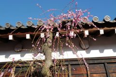 603A800E-3813-428F-82D4-BC3BC09AB7FD-scaled