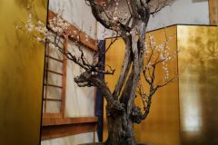 6EF8869F-1D21-45BD-92B5-2C0EAE53FE2D-scaled