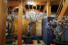 7A36484A-0FE0-43FE-9DEC-85C66FA06D76-scaled