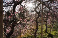 7E328923-7E89-410A-95CF-356F74128205-scaled