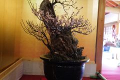 8844C0C8-7447-49C8-81AB-C8986F420ABF-scaled