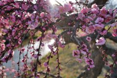 A5324202-B37C-4C7D-83E5-375DE271DF91-scaled