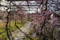 A68C0C86-0027-4F50-8698-AF4E48837D71-scaled