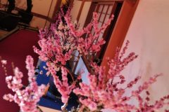 BD766491-03EA-4BE8-8B89-9BA6BFAA90A7-scaled