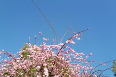 C1F844EE-219D-4989-A9BC-DAF409F89A3A-scaled