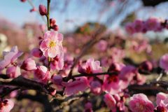 D297B3DD-4B39-49B0-8A1B-A75F434A858E-scaled