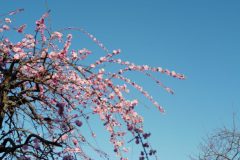 E2ACCA6B-87C6-4FB1-8FFE-6C69E21228DA-scaled