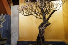 E7DD4015-A3C6-4E67-B98A-03D0F233234A-scaled