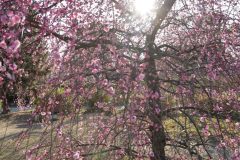 F047BE62-6FBE-4FD6-BE2C-ADDFDE20BA9D-scaled