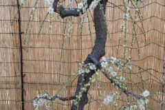 F9CAEB4F-3A7B-4C44-9FA9-F7DE3AD4A8D9-scaled