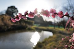 FF239096-8A1B-4BC9-960C-F7F821215CCA-scaled