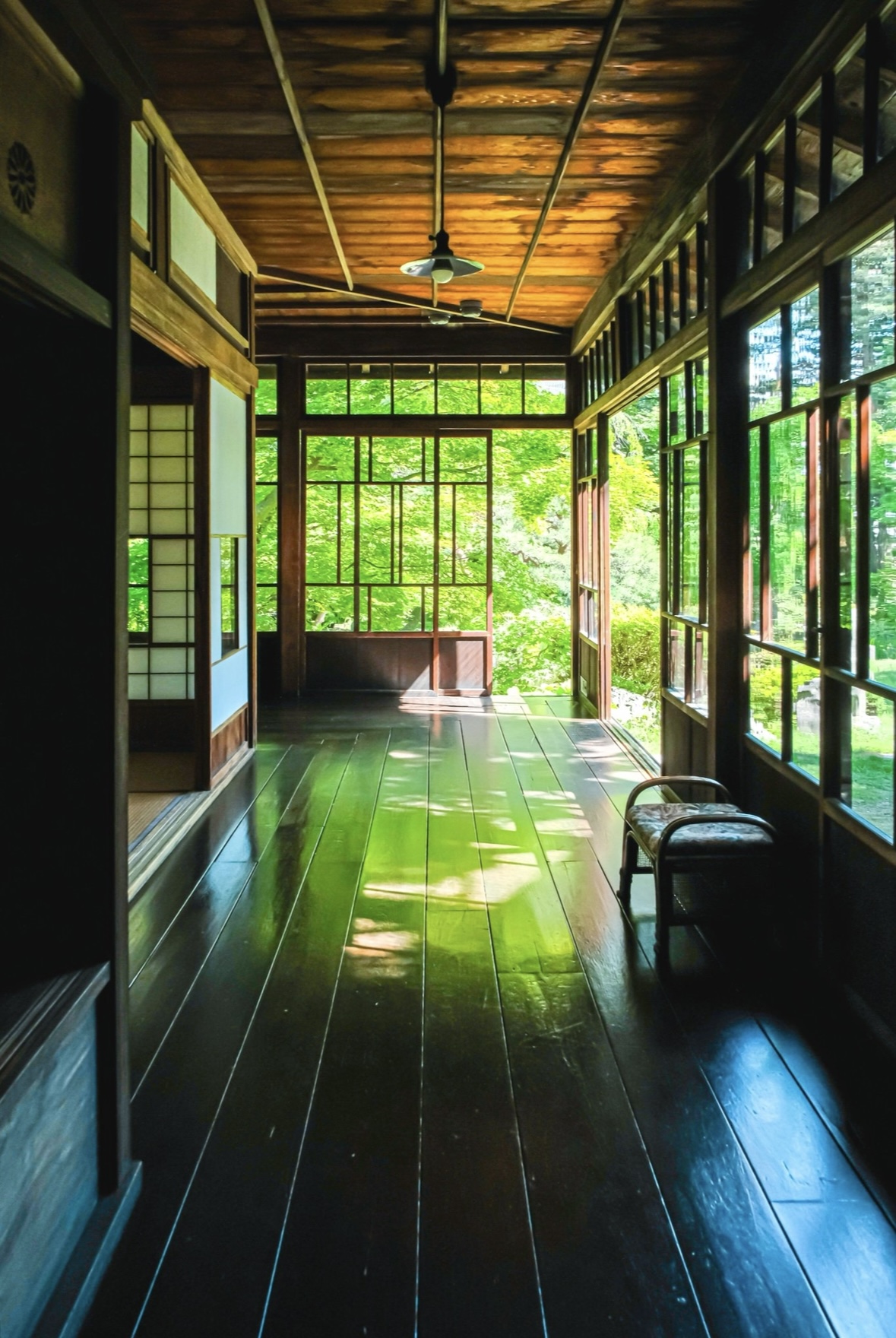 さくら整体院・夏の記憶