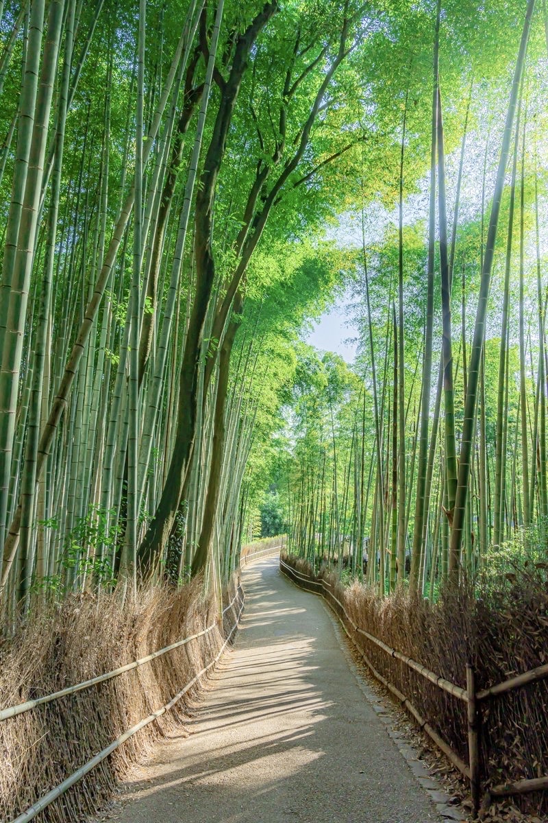 京都嵐山